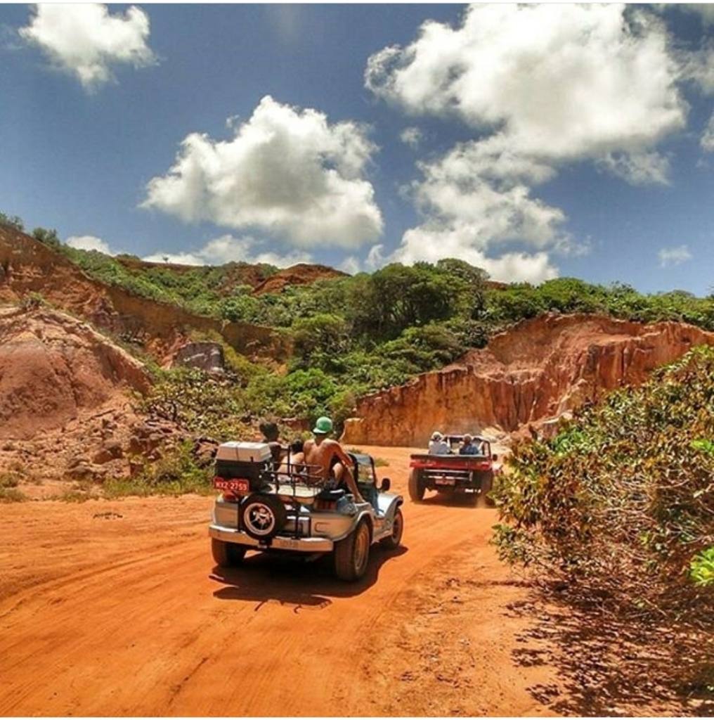 Buggys na terra cercados por vegetação