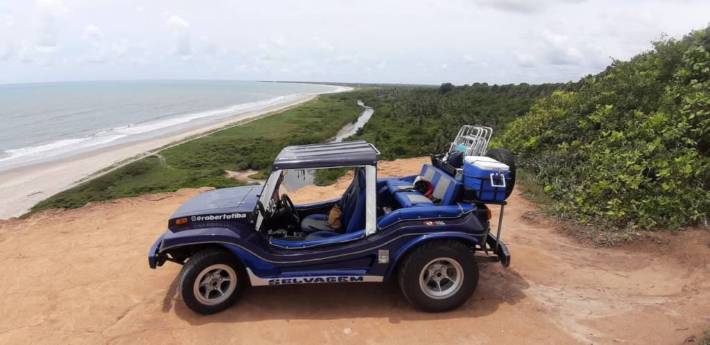 Buggy em falésia acima do mar e vegetação