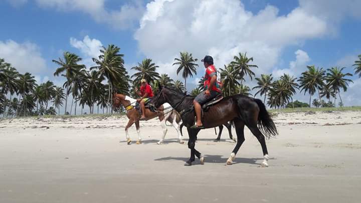 Homens a cavalo em praia paraibana