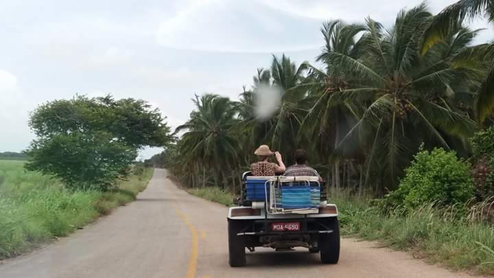 Buggy na estrada ao lado de coqueiros